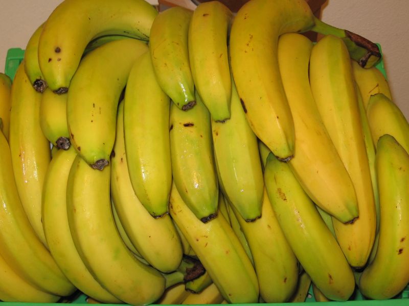 2009/05/bioase-online-bananen