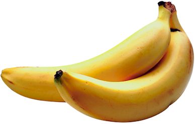 2009/05/bitpalast-bananen