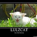 2009/12/motivatedphotos-633517653611949801-lulzcat-i-do-it-for-the-lulz-moticats