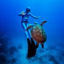 2024/03/sea-turtle-and-scuba-diver