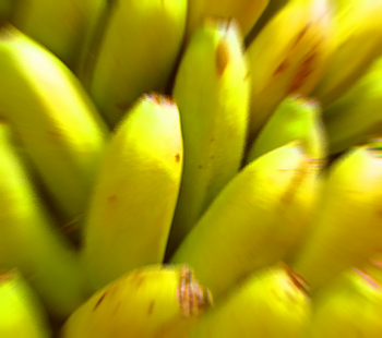 2009/05/ac-bananen
