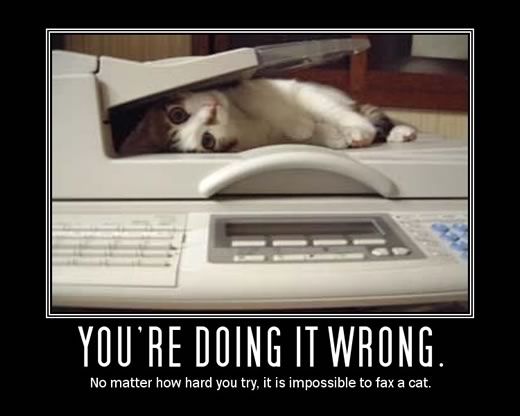 2009/05/catfax