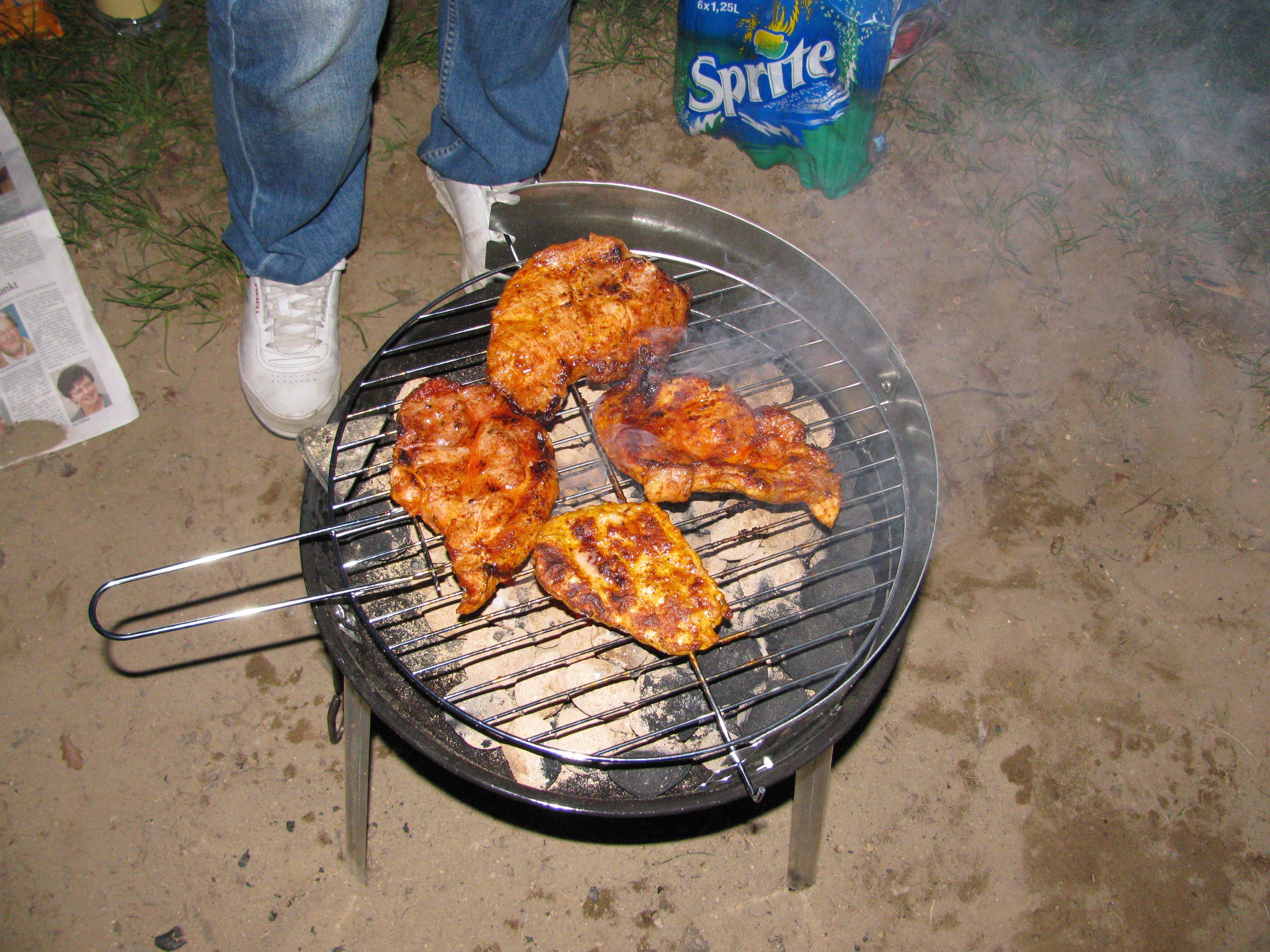 2009/05/grill