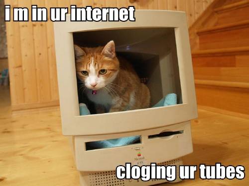 2009/05/i-m-in-ur-internet-cloging-ur-tubes