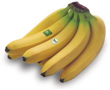 2009/05/port-international-bio-bananen