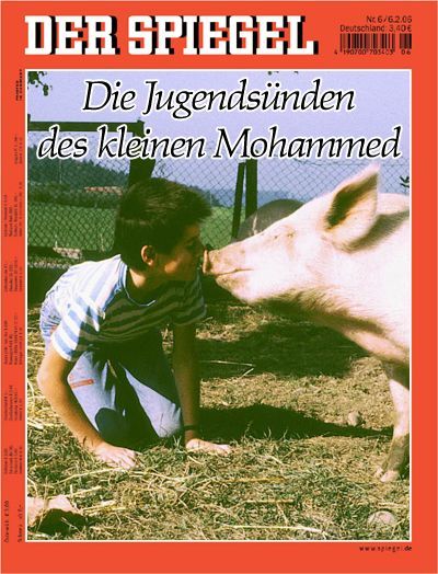 2009/05/spiegel