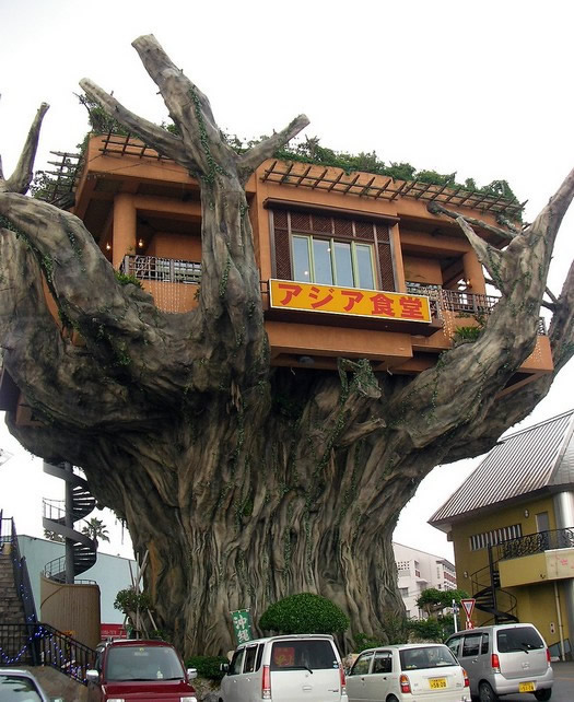 2009/05/treehouse