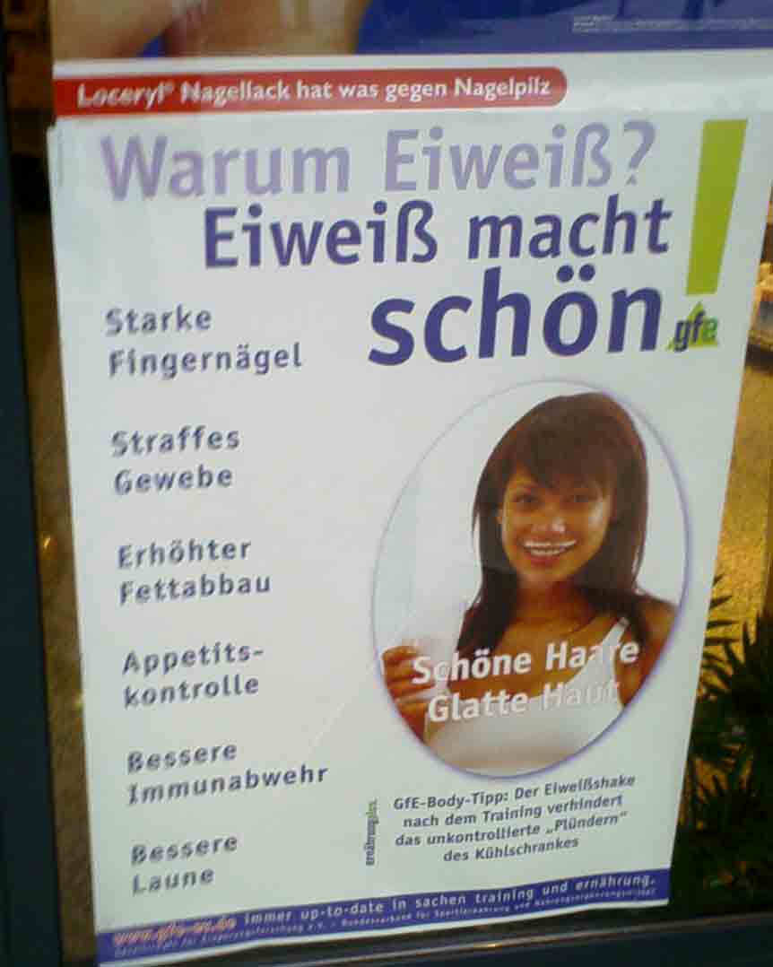 2009/05/warum-eiweiss-gesund-ist