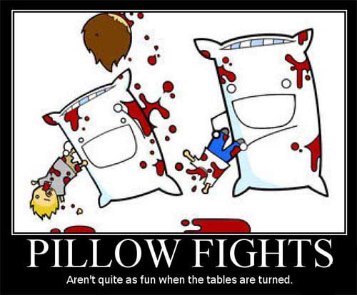 2009/06/pillow-fights