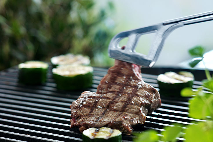 2009/08/strcdn-grillen-06-fitin-735-490