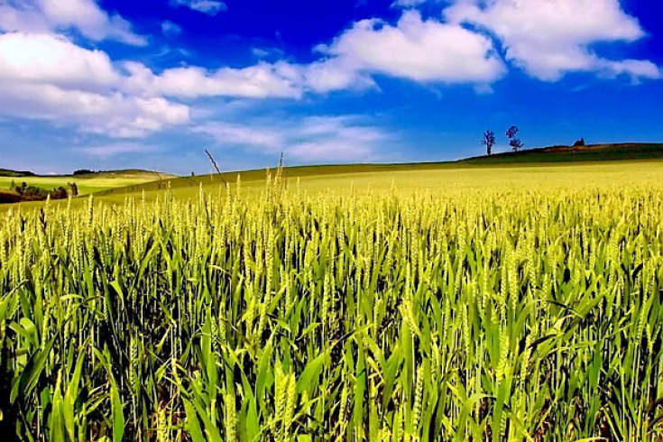 2009/08/strcdn-wetter-schoen-view-03082009-03-fitin-735-490