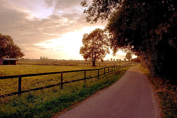 2009/08/strcdn-wetter-schoen-view-03082009-05-fitin-735-490