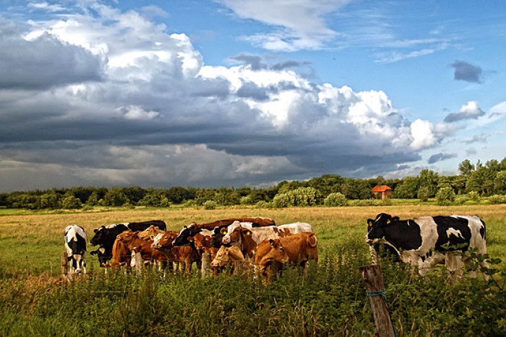 2009/08/strcdn-wetter-schoen-view-27072009-04-fitin-735-490