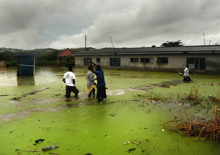 2009/09/spiegel-image-11327-gallery-kdjk