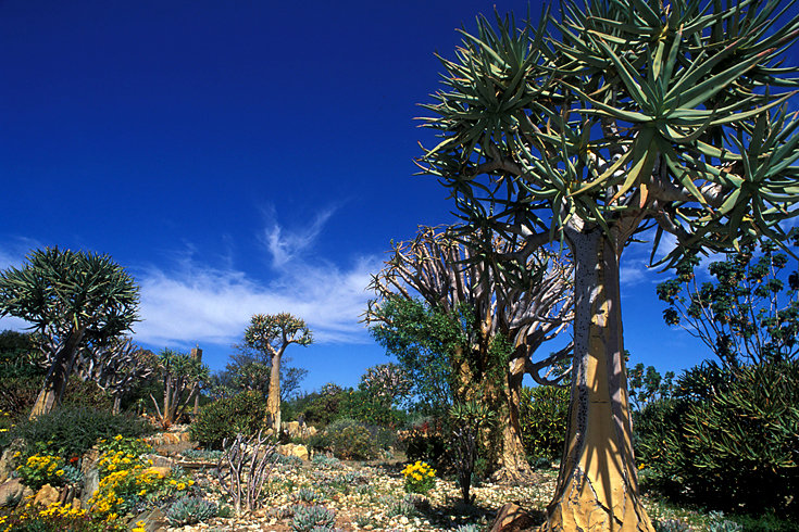 2009/10/strcdn-10-karoo-maxsize-735-490