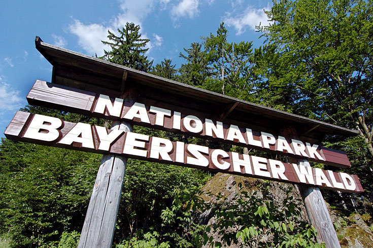 2009/11/stern-13-nationalparkbayerischer-wald-maxsize-735-490