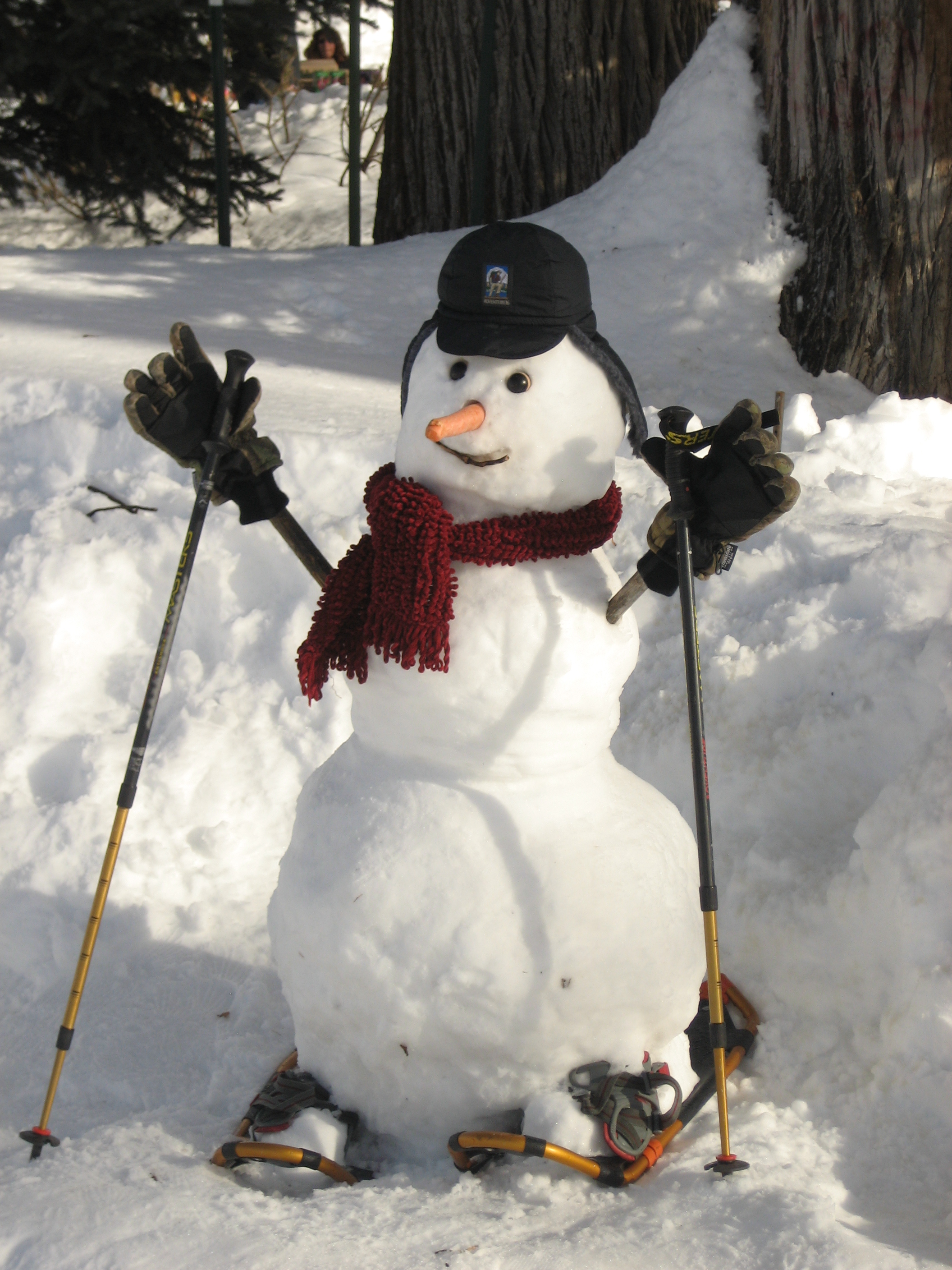 2010/01/bradley-snowman-3rd-place