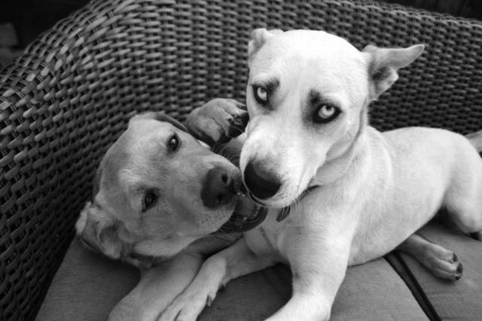 2010/09/0e266f64-fotopodborka-050