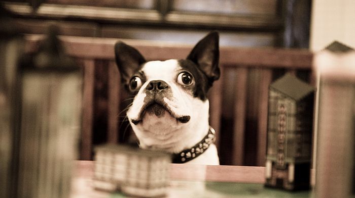 2010/09/1f6ba394photopodborka-031