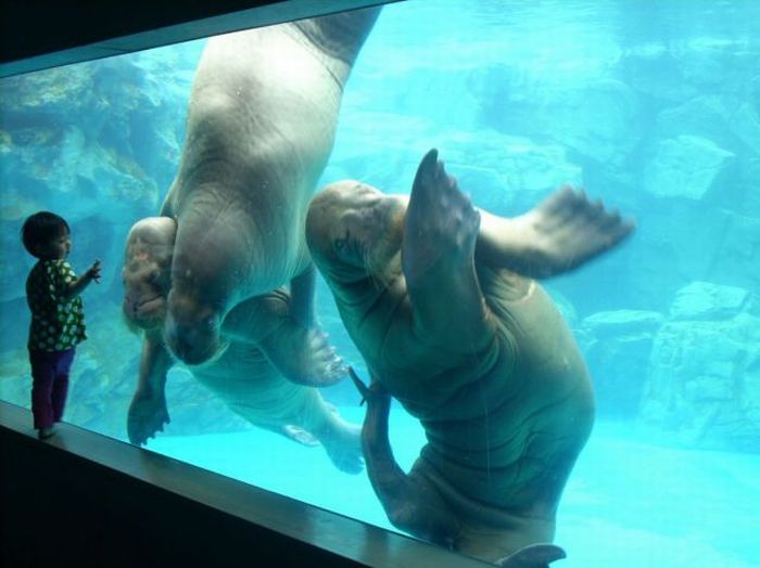 2010/09/299e9e71photopodborka-063