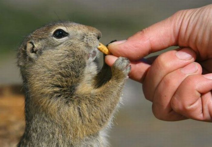 2010/09/2ae86b65photopodborka-012