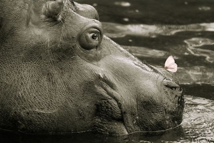 2010/09/4a36a6d5photopodborka-092