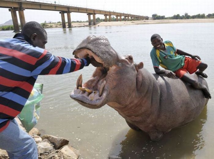 2010/09/512efff9fotopodborka-056