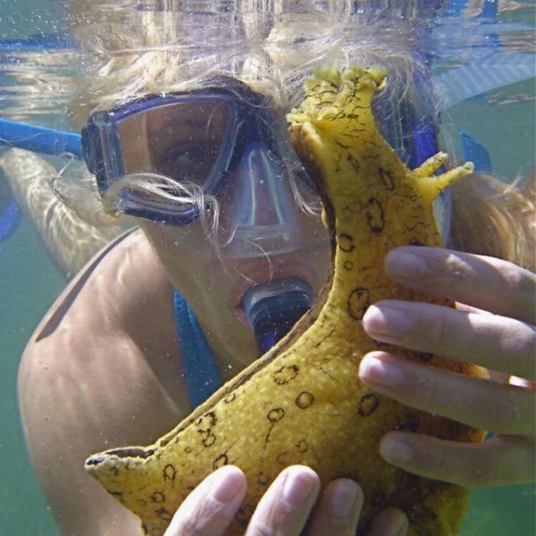 2010/09/517fb6f9fotopodborka-001