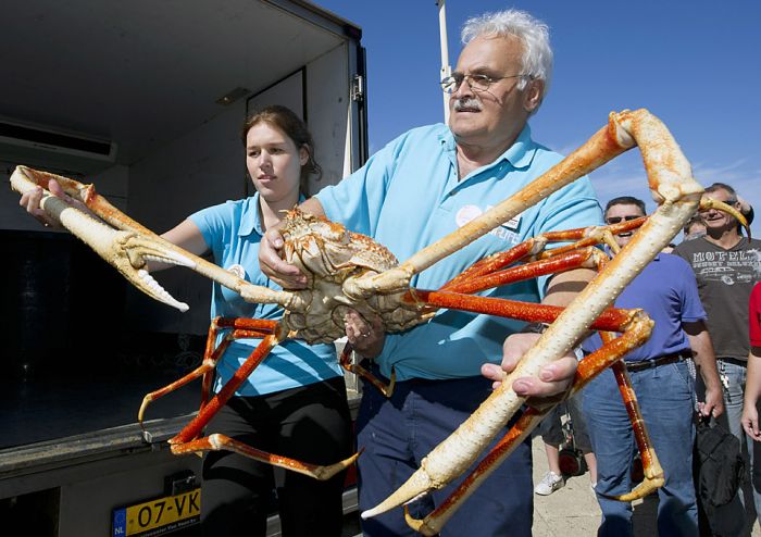 2010/09/6b6c605ffotopodborka-015