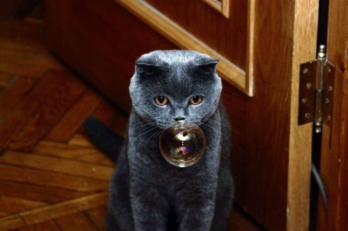 2010/09/769e00f6fotopodborka-008