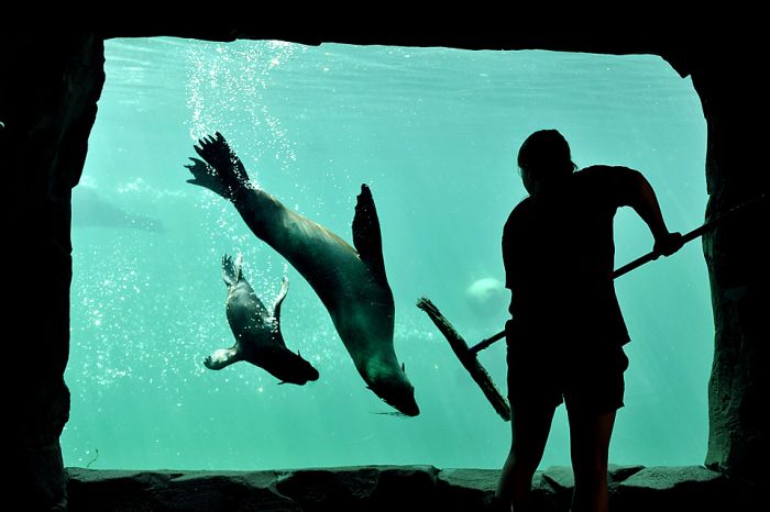 2010/09/b941deaephotopodborka-020