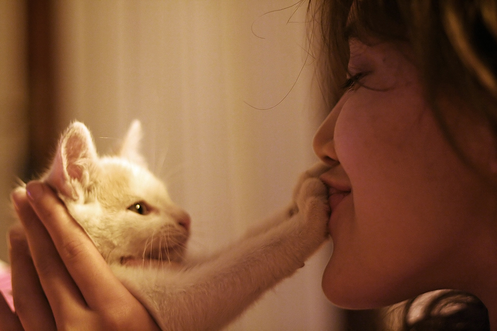 2010/09/wordpress-1570500411-3cb55130d1-b