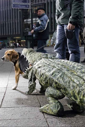 2010/10/animals-zone-dog-croc1