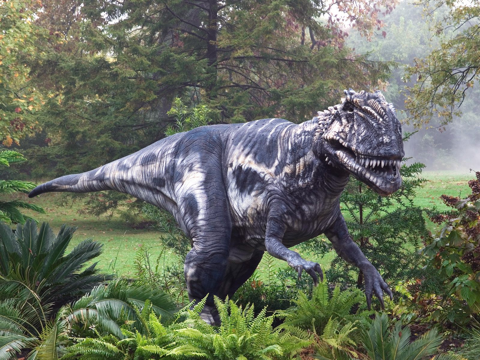 2010/10/megalosaurus