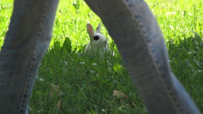 2011/01/1130c725fotopodborka-009