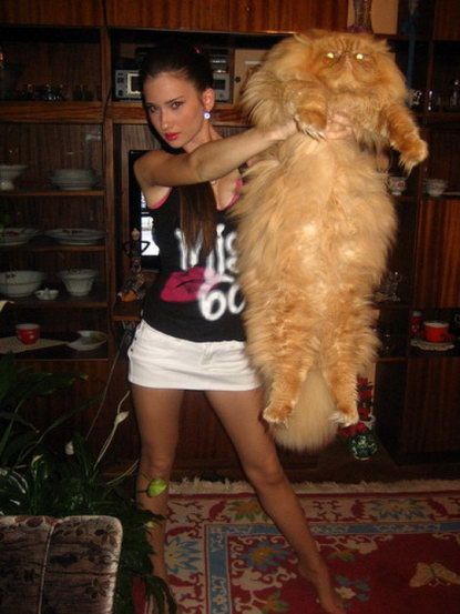 2011/01/15415-podborka-31