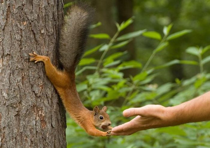 2011/01/155ef5dffotopodborka-012
