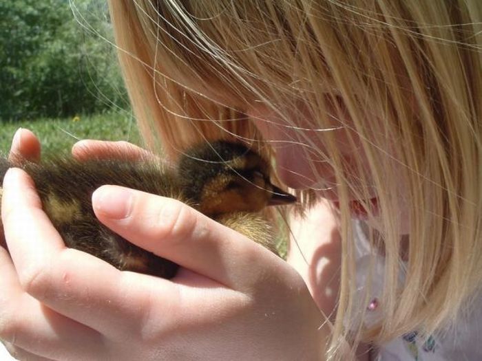 2011/01/5aeaa69b-fotopodborka082