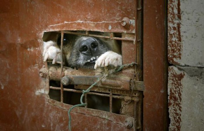 2011/01/7b64bef3-fotopodborka055