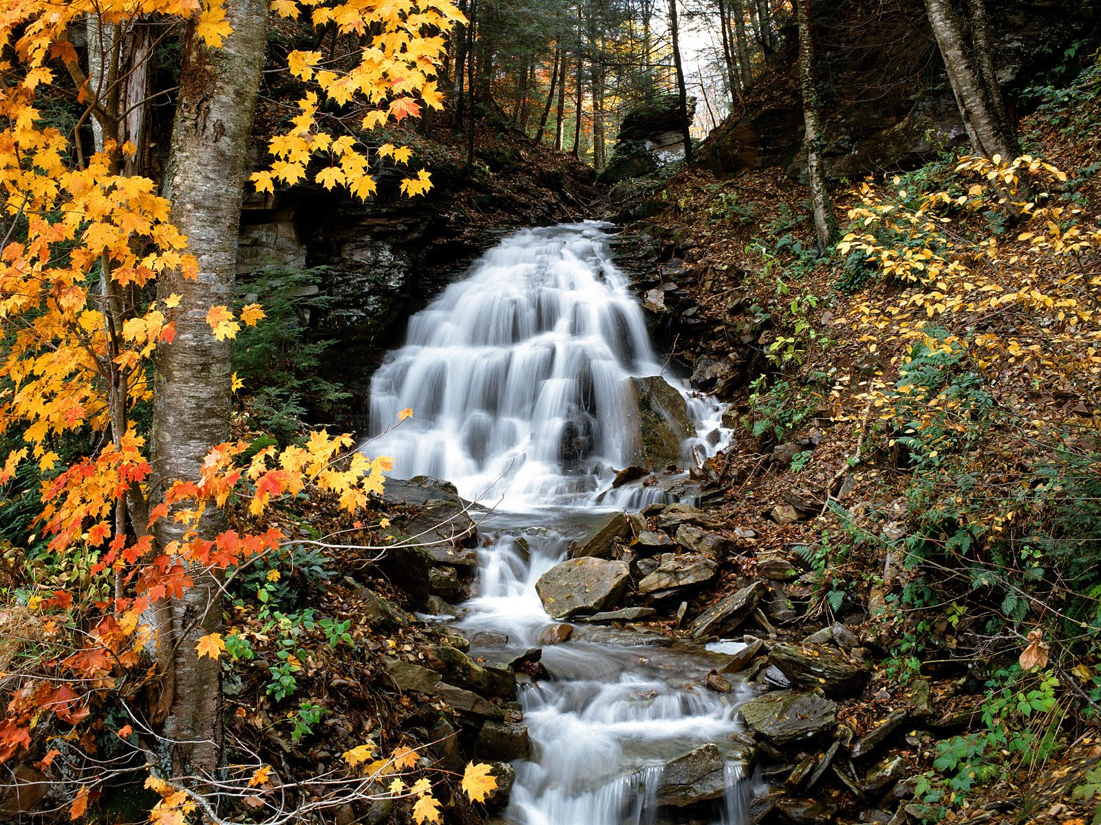 2011/01/allegheny-mountains-pennsylvania