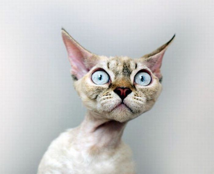 2011/01/bbb1f89afotopodborka-003