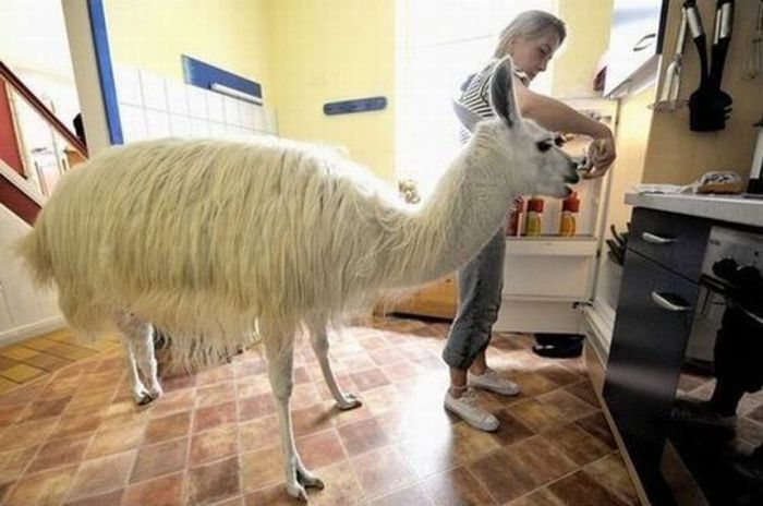 2011/01/c754e14c-fotopodborka054