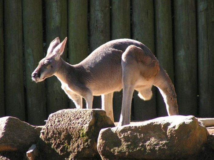 2011/01/e794e3ca-fotopodborka080