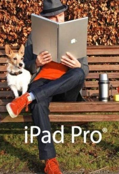 2011/01/funcage-ipad-pro