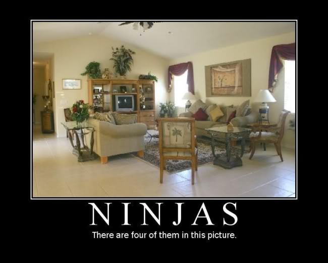 2011/01/ninjas-in-this-room