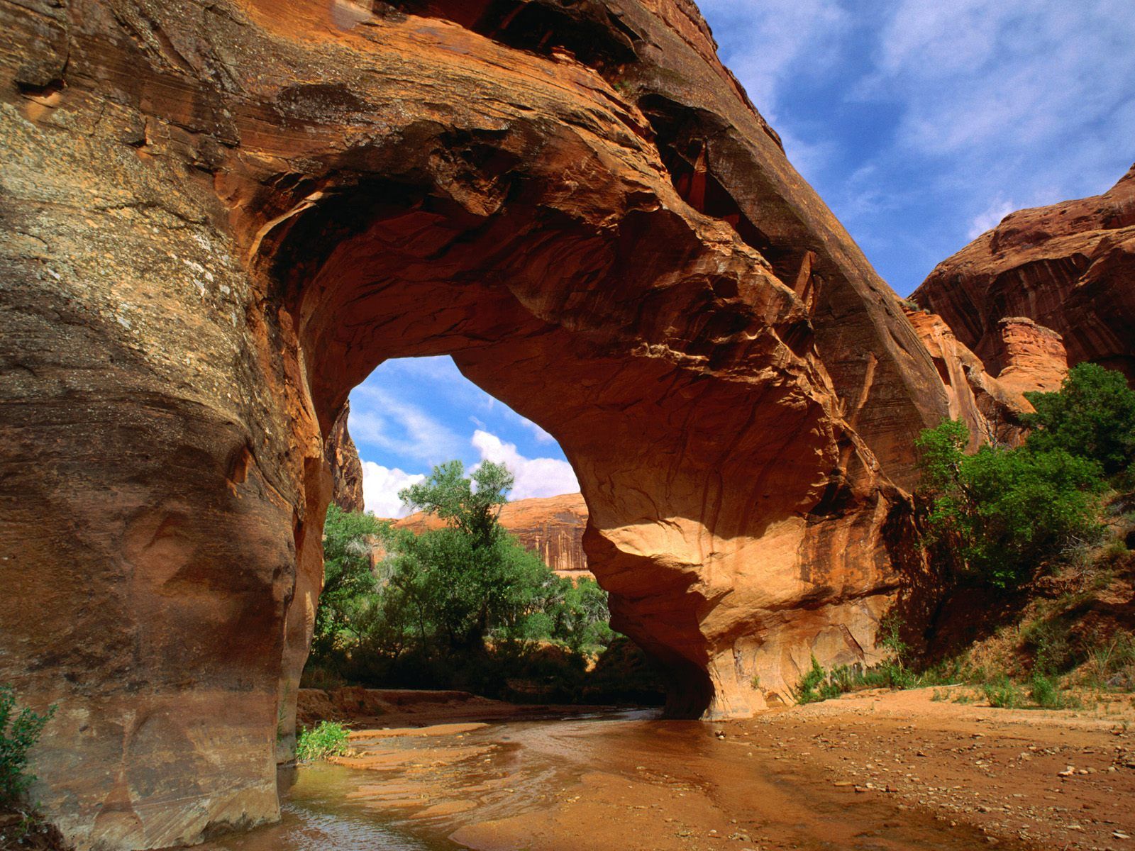 2011/01/thundafunda-coyote-20natural-20bridge-20glen-20canyon-20utah