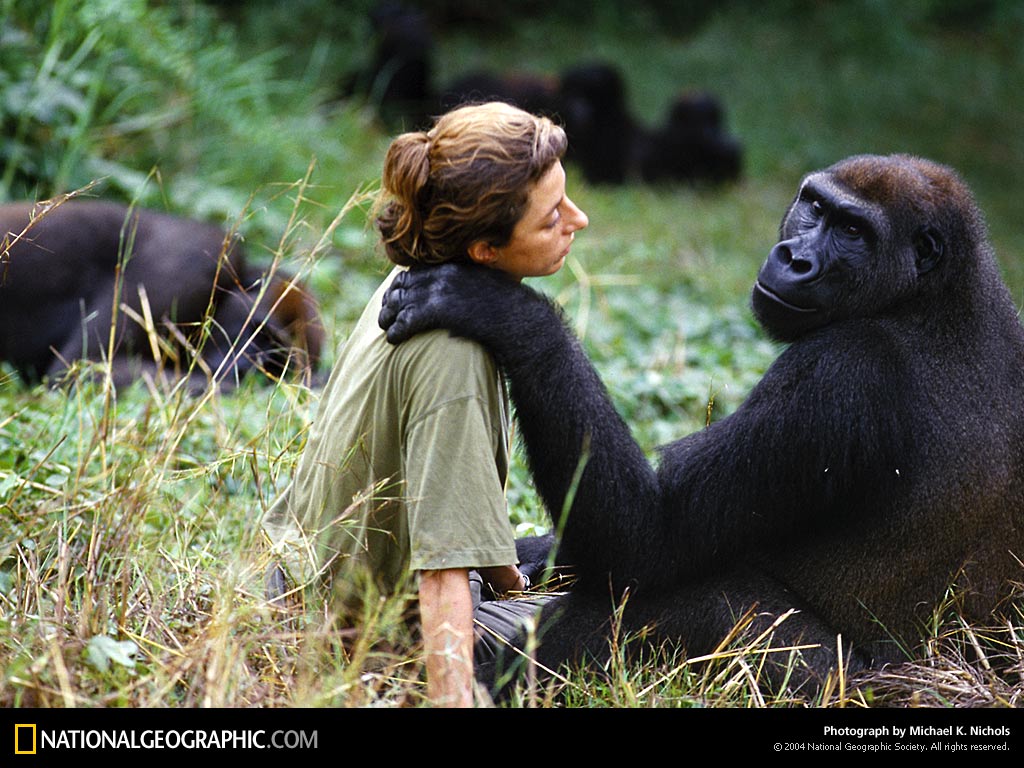 2011/03/nationalgeographic-project-protection-651868-lw