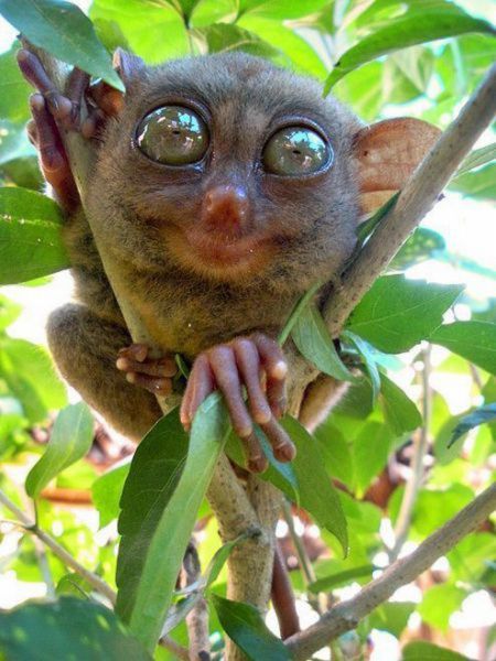 2011/04/121171aaphotopodborka-058