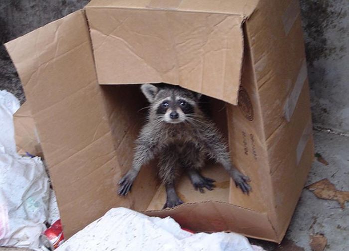 2011/04/39090769-fotopodborka-064