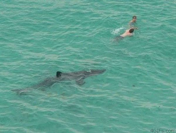 2011/04/a254dbc8fotopodborka-034